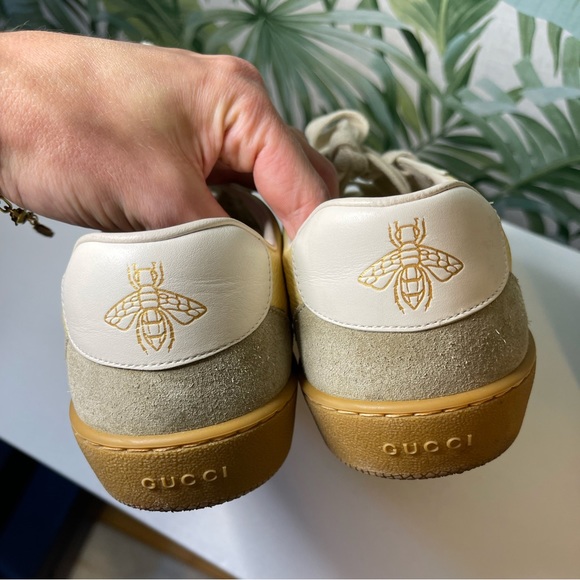 COPY - Gucci Webbing Sneakers *worn twice *with box, dust bag and extra laces! - Picture 5 of 7